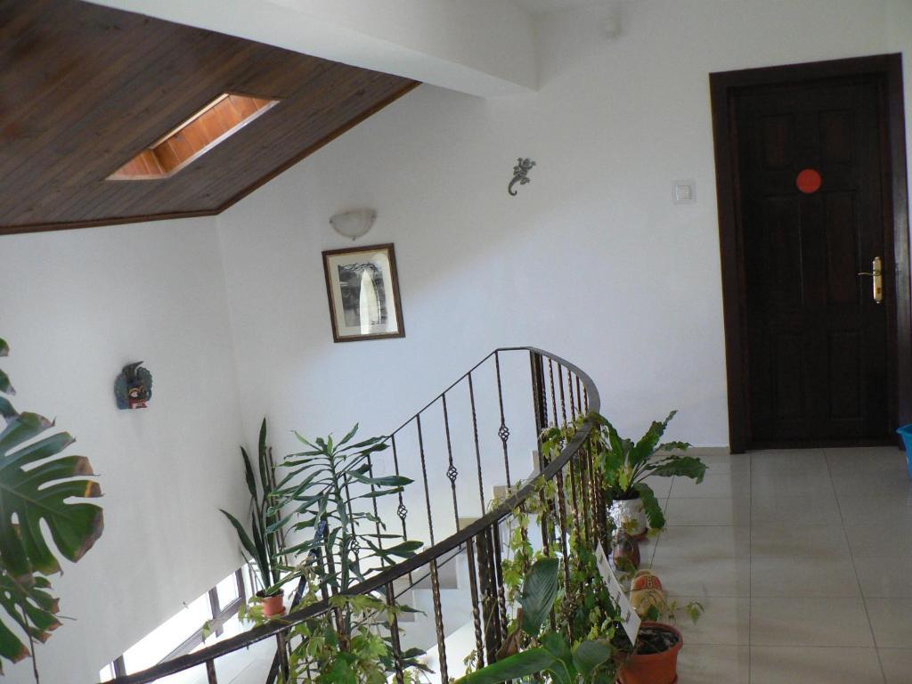 Casa Havana (Adults Only) Costinesti Buitenkant foto