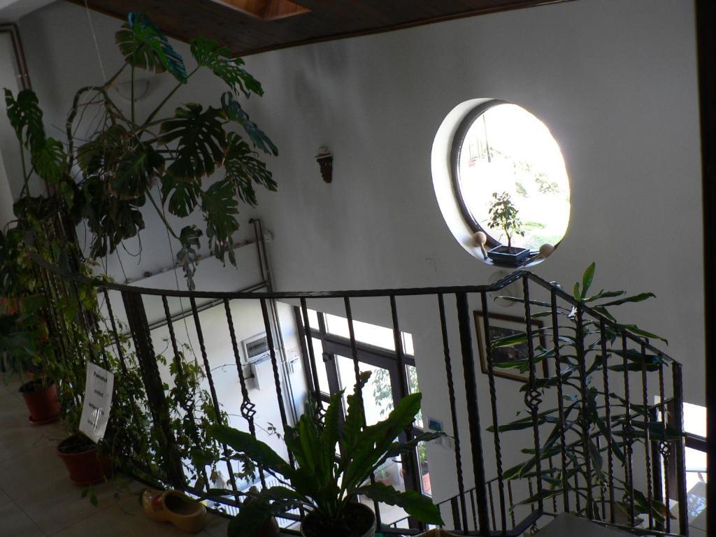 Casa Havana (Adults Only) Costinesti Buitenkant foto