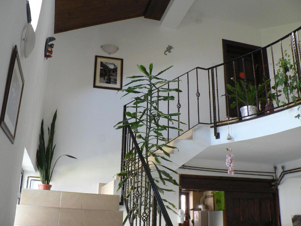 Casa Havana (Adults Only) Costinesti Buitenkant foto