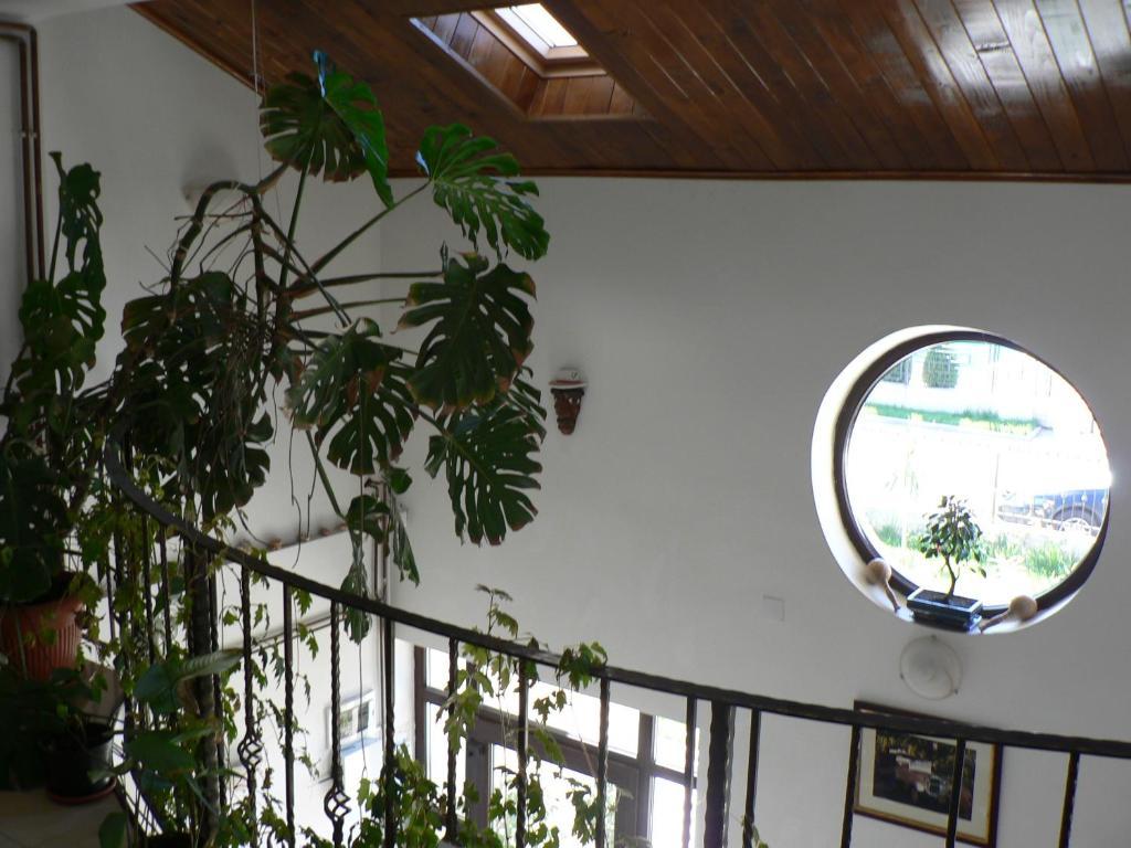 Casa Havana (Adults Only) Costinesti Buitenkant foto
