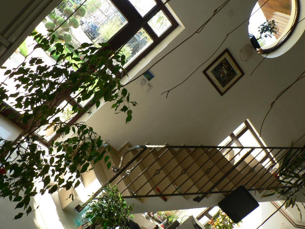Casa Havana (Adults Only) Costinesti Buitenkant foto