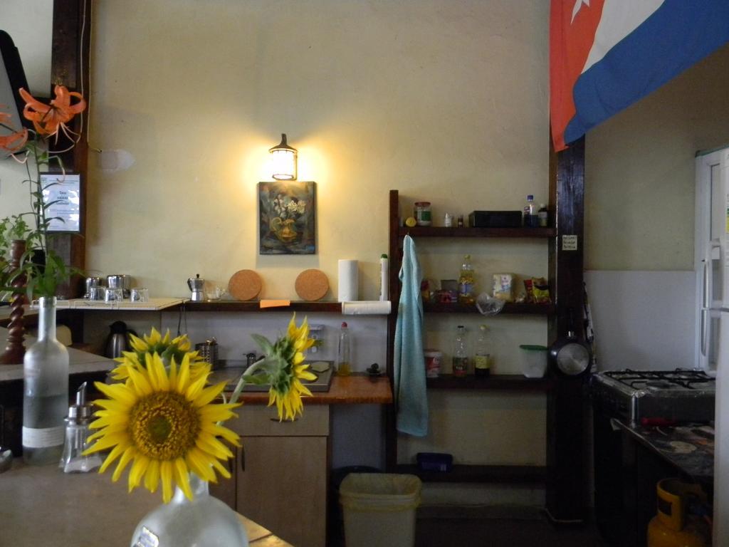 Casa Havana (Adults Only) Costinesti Buitenkant foto